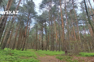 Działka na sprzedaż 7125m2 myszkowski Niegowa Ogorzelnik - zdjęcie 2