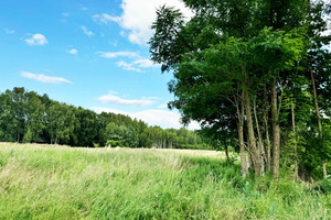 Działka na sprzedaż bełchatowski Zelów Wypychów Stara Poczta - zdjęcie 3