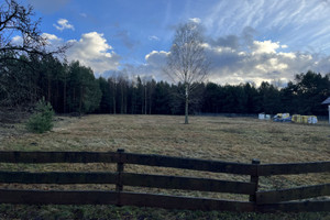 Działka na sprzedaż 7900m2 konecki Stąporków Małachów - zdjęcie 1