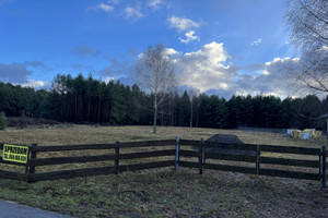 Działka na sprzedaż 7900m2 konecki Stąporków Małachów - zdjęcie 2