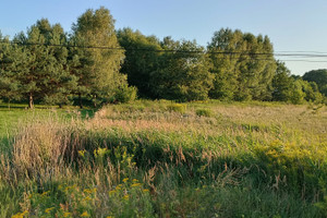 Działka na sprzedaż kłobucki Kłobuck Gruszewnia - zdjęcie 2