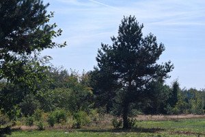 Działka na sprzedaż 1500m2 nowodworski Czosnów Izabelin-Dziekanówek - zdjęcie 1