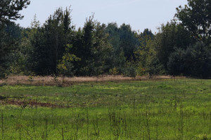 Działka na sprzedaż 1500m2 nowodworski Czosnów Izabelin-Dziekanówek - zdjęcie 2