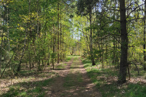 Działka na sprzedaż 1000m2 warszawski zachodni Łomianki Dziekanów Polski al. Miła - zdjęcie 2