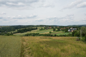 Działka na sprzedaż 2848m2 brzeski Czchów Złota Złota - zdjęcie 3