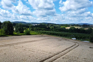 Działka na sprzedaż 2400m2 brzeski Dębno Sufczyn Szkolna - zdjęcie 3