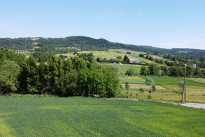 Działka na sprzedaż 1500m2 tarnowski Gromnik Siemiechów - zdjęcie 1