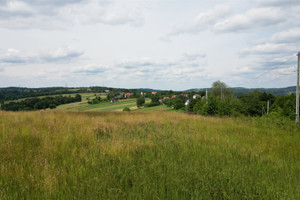 Działka na sprzedaż 2848m2 brzeski Czchów Złota Złota - zdjęcie 2