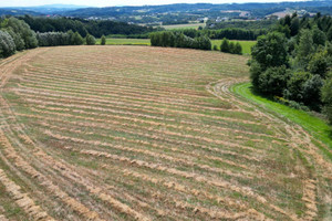 Działka na sprzedaż 1025m2 tarnowski Gromnik Siemiechów - zdjęcie 3