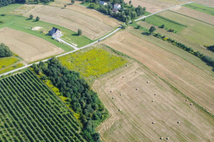 Działka na sprzedaż 2999m2 brzeski Dębno Sufczyn - zdjęcie 1