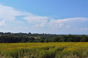 Działka na sprzedaż 2999m2 brzeski Dębno Sufczyn - zdjęcie 1