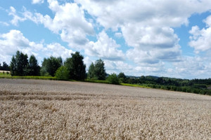 Działka na sprzedaż 2400m2 brzeski Dębno Sufczyn Szkolna - zdjęcie 1