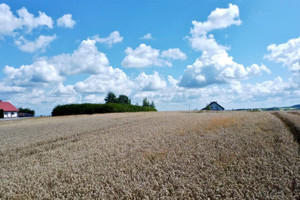 Działka na sprzedaż 2400m2 brzeski Dębno Sufczyn Szkolna - zdjęcie 2