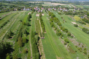 Działka na sprzedaż 7000m2 brzeski Dębno Łysa Góra - zdjęcie 3