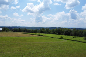 Działka na sprzedaż 3675m2 tarnowski Gromnik Rzepiennik Marciszewski - zdjęcie 3