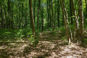 Działka na sprzedaż 3200m2 tarnowski Zakliczyn Gwoździec Gwoździec - zdjęcie 1