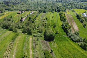 Działka na sprzedaż 7000m2 brzeski Dębno Łysa Góra - zdjęcie 2