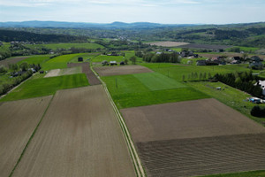 Działka na sprzedaż 1300m2 gorlicki Bobowa Siedliska Siedliska - zdjęcie 3