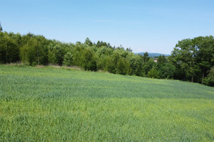 Działka na sprzedaż 1500m2 tarnowski Gromnik Siemiechów - zdjęcie 3