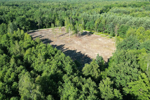 Działka na sprzedaż 1307m2 brzeski Borzęcin Bielcza Bielcza - zdjęcie 2