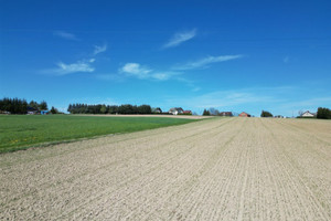 Działka na sprzedaż 1300m2 gorlicki Bobowa Siedliska Siedliska - zdjęcie 2