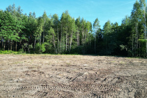 Działka na sprzedaż 1307m2 brzeski Borzęcin Bielcza Bielcza - zdjęcie 1