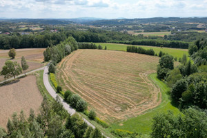 Działka na sprzedaż 1025m2 tarnowski Gromnik Siemiechów - zdjęcie 4