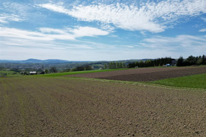 Działka na sprzedaż 1350m2 gorlicki Bobowa Siedliska Siedliska - zdjęcie 2