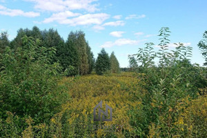 Działka na sprzedaż 15000m2 otwocki Karczew Brzezinka - zdjęcie 1