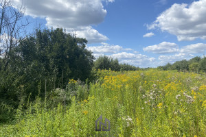 Działka na sprzedaż 10500m2 otwocki Karczew Nadbrzeż - zdjęcie 3