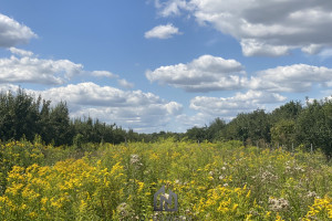 Działka na sprzedaż 10500m2 otwocki Karczew Nadbrzeż - zdjęcie 1