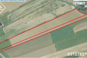 Działka na sprzedaż 11089m2 miechowski Gołcza Mostek - zdjęcie 3