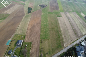 Działka na sprzedaż 11089m2 miechowski Gołcza Mostek - zdjęcie 2