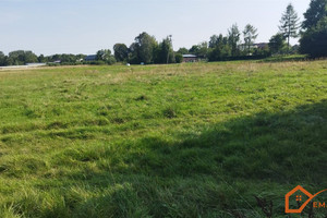 Działka na sprzedaż 3300m2 włoszczowski Radków Bałków - zdjęcie 1