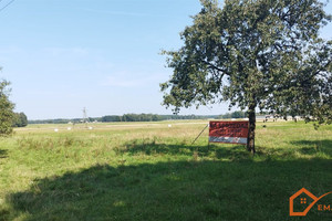 Działka na sprzedaż 3300m2 włoszczowski Radków Bałków - zdjęcie 2