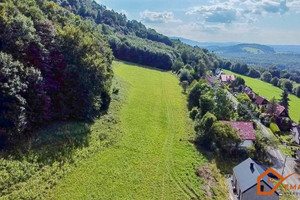 Działka na sprzedaż 12370m2 cieszyński Goleszów Cisownica - zdjęcie 3