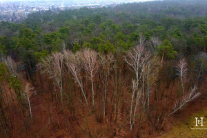 Działka na sprzedaż 2600m2 pruszkowski Raszyn Sękocin-Las Czeremchy - zdjęcie 2