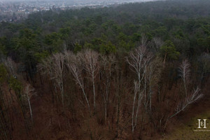 Działka na sprzedaż 2600m2 pruszkowski Raszyn Sękocin-Las Czeremchy - zdjęcie 3