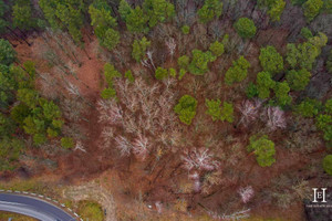 Działka na sprzedaż 2600m2 pruszkowski Raszyn Sękocin-Las Czeremchy - zdjęcie 3