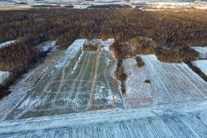 Działka na sprzedaż 10700m2 pucki Puck Starzyński Dwór - zdjęcie 1