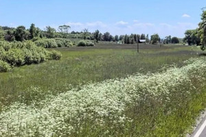 Działka na sprzedaż 33000m2 lęborski Wicko - zdjęcie 3