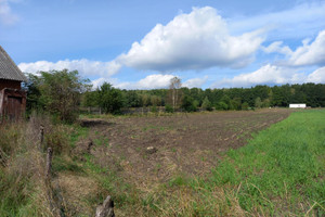 Działka na sprzedaż 2800m2 opoczyński Sławno Tomaszówek - zdjęcie 3