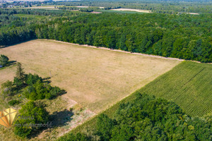 Działka na sprzedaż 1329m2 lubartowski Ostrów Lubelski Kaznów-Kolonia - zdjęcie 2