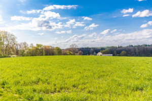 Działka na sprzedaż 4834m2 lubelski Wojciechów - zdjęcie 1