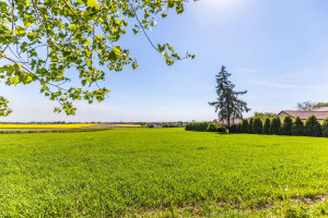 Działka na sprzedaż 3013m2 lubelski Wojciechów - zdjęcie 3