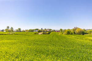 Działka na sprzedaż 860m2 lubelski Konopnica - zdjęcie 3