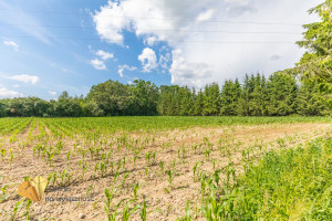 Działka na sprzedaż lubelski Konopnica - zdjęcie 3