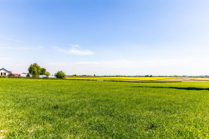 Działka na sprzedaż 1506m2 lubelski Wojciechów Maszki k. Wojciechowa - zdjęcie 4