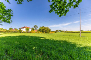 Działka na sprzedaż 3000m2 lubelski Wojciechów - zdjęcie 1