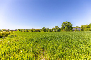 Działka na sprzedaż 860m2 lubelski Konopnica - zdjęcie 3